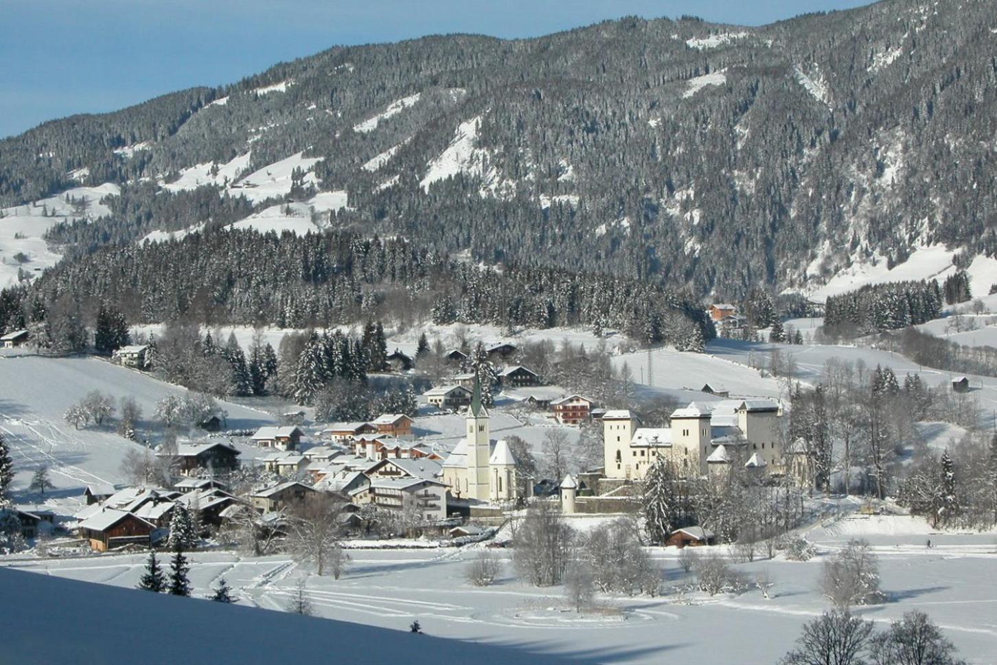 Bio-Bauernhof Reitmayrgut Голдег Екстериор снимка
